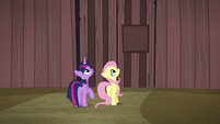 Twilight and Fluttershy look to top of gate S5E23