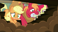 Applejack and Big Mac dig madly in the dirt S7E13
