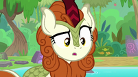 Autumn Blaze trying to interpret S8E23