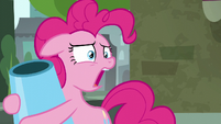 Pinkie Pie "my party cannon?" S6E3