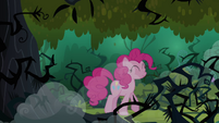 Pinkie realizes that the echoes was her voice S3E03