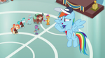 Rainbow Dash -an actual buckball team- S9E15