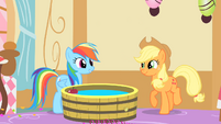 Rainbow Dash praises Applejack's apple bobbing S1E25