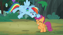 Rainbow Dash ruffles Scootaloo's mane S7E16