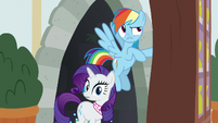 Rainbow and Rarity emerge from the tunnel S8E17