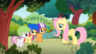 S01E23 Fluttershy pyta Ligę dokąd się tak śpieszą