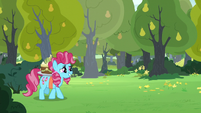 Chiffon Swirl comes out of the bushes S7E13