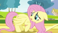 Fluttershy sprawdza..
