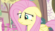 Fluttershy connaît bien Rainbow Dash.