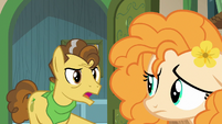 Grand Pear "it's what's best" S7E13