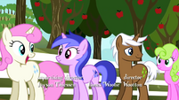 Ponies waiting in line S2E15