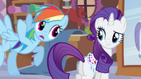 Rainbow pointing something out to Rarity.