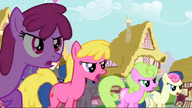 S03E03 Berry Punch, Cherry Berry, Daisy, Bon Bon