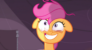 S03E06 Scootaloo naprawdę się nie wyspała