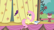 S04E14 Ptak śpiewa dla Fluttershy