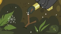 Twig gets added to the moss pile S8E16