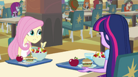 Twilight and Fluttershy at the lunch table EG