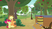 AJ and Apple Bloom hide behind a tree S9E10