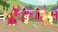 Apple Bloom "Neat" S5E17