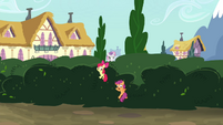 CMC sneaking over the bushes S4E15