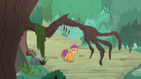 Claw-shaped tree branch over Scootaloo S9E22