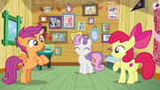 Cutie Mark Crusaders pleased with themselves S7E6