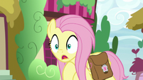 Fluttershy belching loudly S9E18