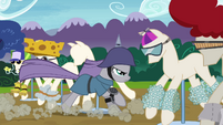 Maud Pie putting on spiked helmet S4E18