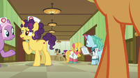 Nurse ponies and patients in the hospital hallway S6E23