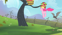 Pinkie Pie attracting the bats S4E07