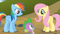 Rainbow Dash and Fluttershy look at Spike S3E9