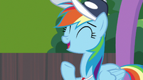 Rainbow Dash laughing with pride S9E15