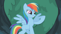 Rainbow Dash well how else S1E14