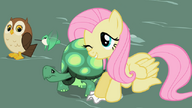 S02E07 Fluttershy przytula żółwia