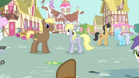 Trenderhoof pointing towards Derpy and a stallion S4E13