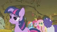 Twilight We Can Help You S1E09