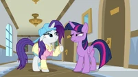 Twilight raising her eyebrow at Rarity S8E16.png (1,006 KB)