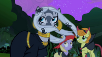 Zecora and ponies in the wind S2E04