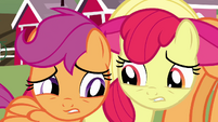 Apple Bloom and Scootaloo S3E04