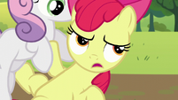 Apple Bloom brings up her "long-lost cousin" S5E17