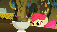 Apple Bloom looking at tiny petals entering the bowl S2E06