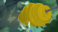 Flash bees circling around the hive S7E20
