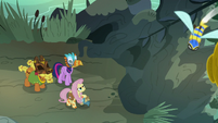 Fluttershy, Twilight, and Cattail return to the hive S7E20