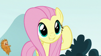 Fluttershy accidentally hits a puckwudgie S8E2