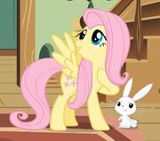 Fluttershy en angel