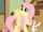 Fluttershy