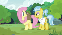 Fluttershy lifts Lola the sloth onto her back S7E5