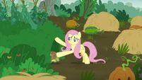 Fluttershy pushes turtle under a grassy patch S5E23