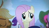 Fluttershy sees her friends walking around her S4E07