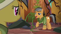 Quibble "Rainbow Dash and I have this covered" S6E13